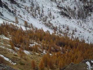 il versante della discesa