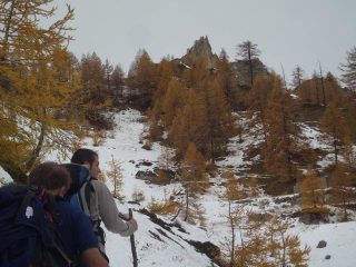 i Becchi si avvicinano