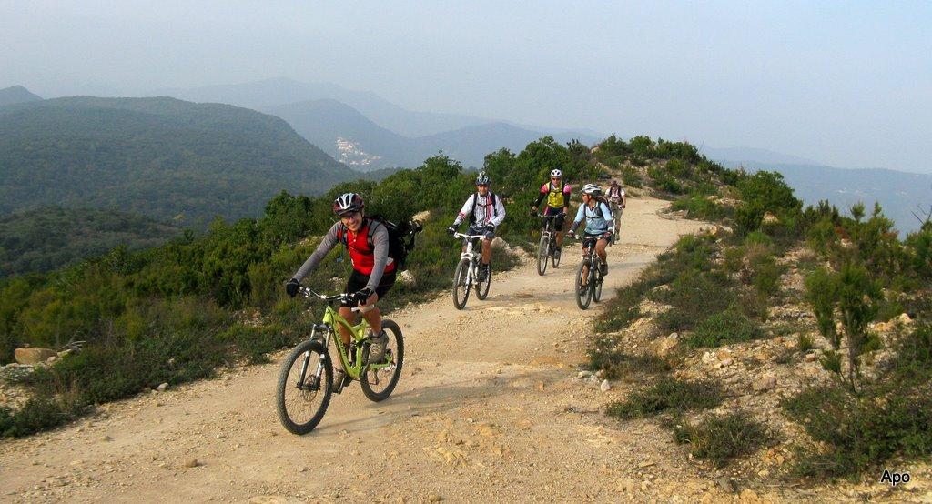 ...il gruppo al Bric dei Crovi...