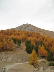 ...sembra un dipinto...