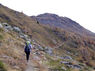 M. Paglietta salendo dal vallone di Barasson