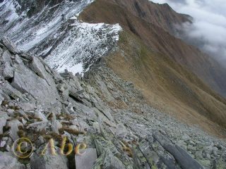 Tratto finale dalla cima.