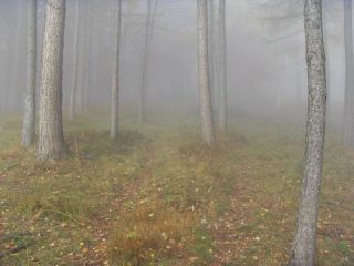 nebbia appena sopra le muande