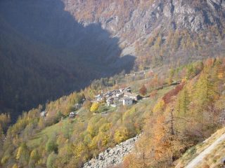 Tressi