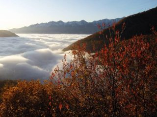 A Bar Cenisio di primo mattino si sbuca dalle nebbie 