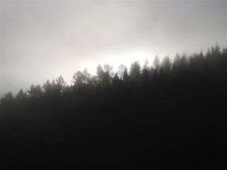 Al mattino