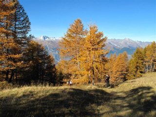 I bei colori autunnali