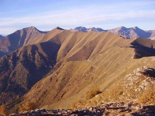 la lunga cresta fino al Bertrand (in fondo a sx) dal Saccarello