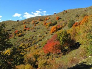 Macchie di colore
