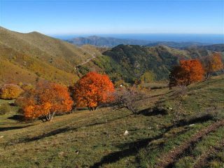 Tra i colori le case di Prati Piani, dietro il colle d'Oggia