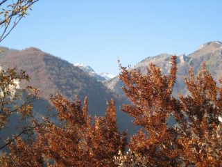Colori autunnali