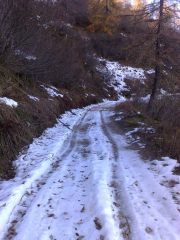 Strada invernale