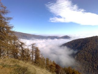 l'arrivo della nebbia