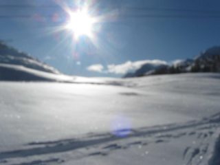 La partenza. 