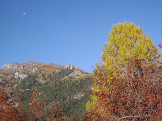 colori stupendi!