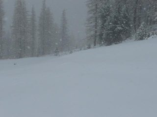 La fitta nevicata   :-)