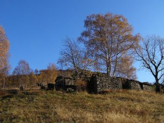 Fuori dal bosco sopra Saccona