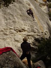 codata di signore...