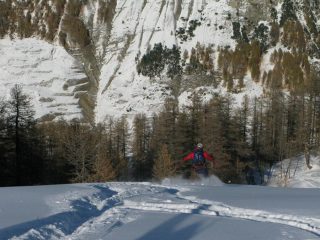 Farina parte bassa