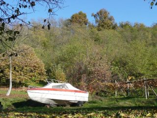 ... come la barca in un bosco !