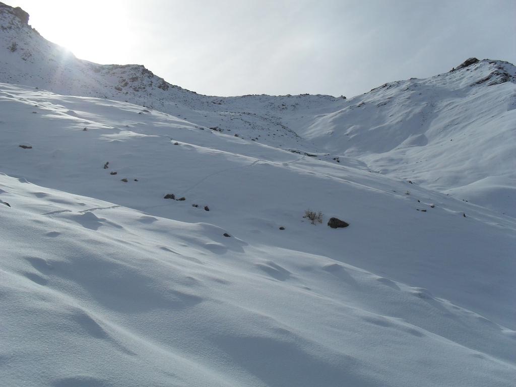 In vista del colle su traccia di animale