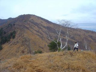 Giungendo al Monte Rosselli