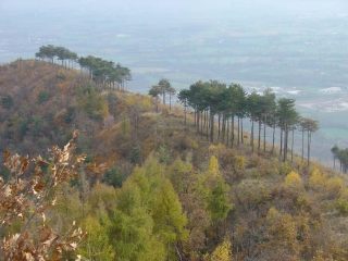 Costiera del Monte Baron