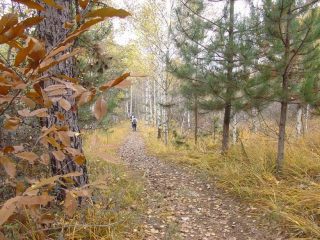 Sentiero di ritorno a Givoletto