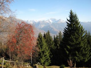 Colori alla partenza
