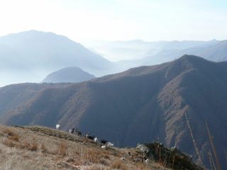 Faie, Orfano e Mottarone