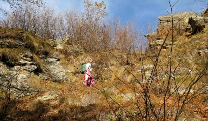 appena sotto la sella a 1500 m