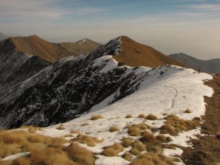 dalla vaccarezza all'angiolino