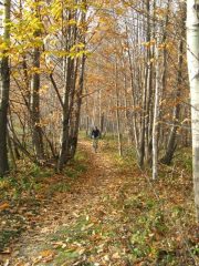 splendido single track