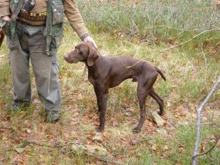 Un incontro...elegante 