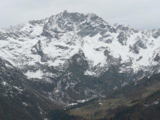 Corno Bianco