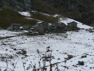 Alpe Campo