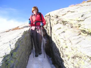 Luigina nell'intaglio