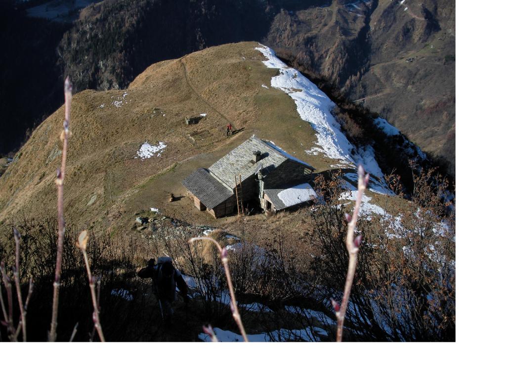 L'Alpe Sattal sullo spallone ovest del Carnera