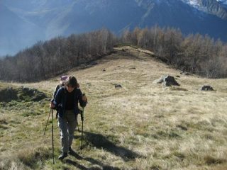 nei pressi dell'alpeggio Attia