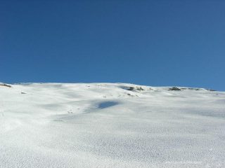 un biliardo sopra il boschetto