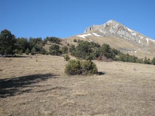 dorsale sud della Cima Pepino