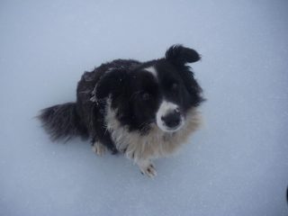 Jolie perchè mi guardi così?