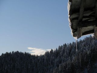 La bella abetaia di Ribordone dalla baita di quota 1510