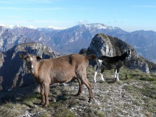 Corno centrale e Resegone