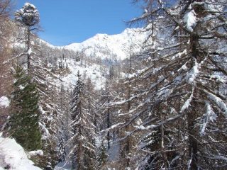  leretta a sx - pian du Juc e quota 2200m a dx