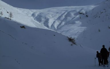Coma dell'Oliveto