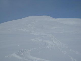 ...sembra powder...