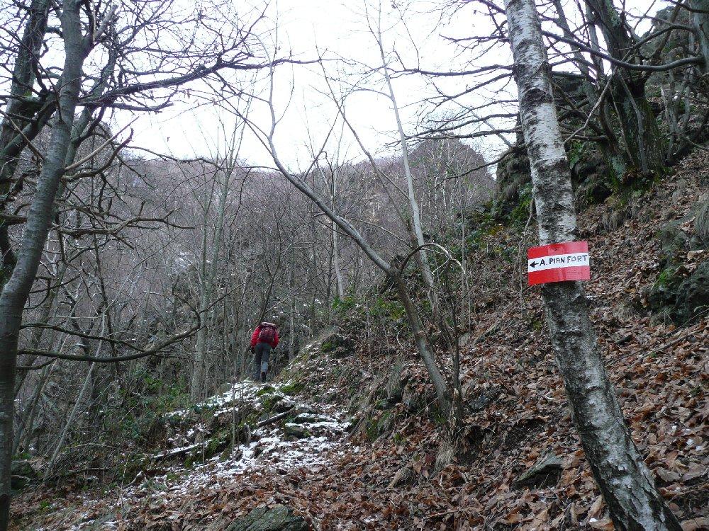 Verso Alpe Pian dei Fort