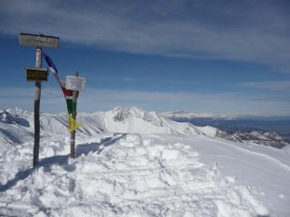 in cima