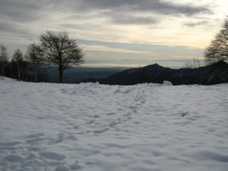 Dal colle Portia verso il Musiné
